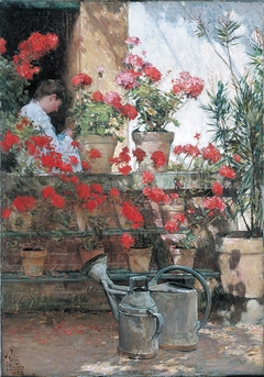 Geraniums by Childe Hassam