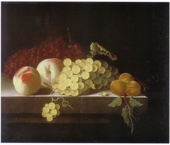 Grapes, Peaches and Apricots on a Stone Plinth by Adriaen Coorte