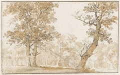 Haagse Bos by Jan de Bisschop