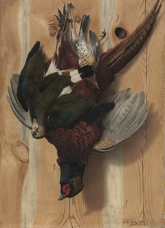 Hanging Game Birds (Pheasant) by John J Eyers