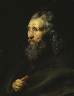 Head study of a bearded man by Peter Paul Rubens