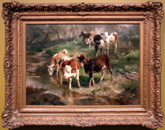 Heifers Playing by Anton Braith