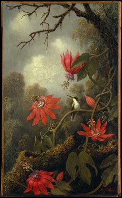 Hummingbird and Passionflowers by Martin Johnson Heade