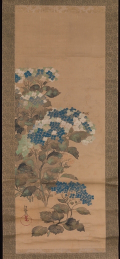 Hydrangeas by Ogata Kōrin