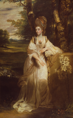 Lady Bampfylde by Joshua Reynolds