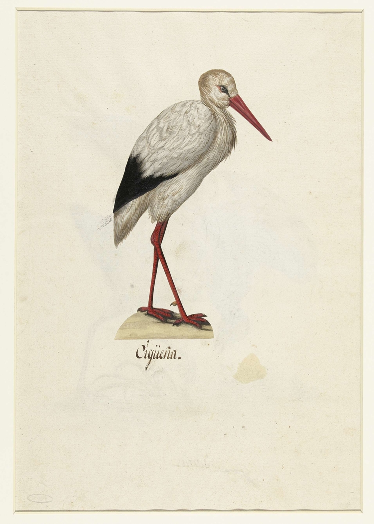 Exhibit image