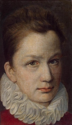 Portrait of a Youth by Pierre Dumonstier