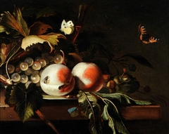 Still Life with Fruit, Grapes and Foliage with Flies and Butterflies by Jan Mortel