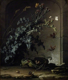 Stone niche with thistle, lizard and insects by Elias van den Broeck