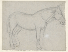 Studie van een paard by Jan Kuyper