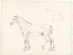 Studie van twee paarden, naar links by Hendrik Voogd