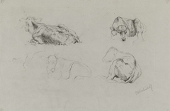 Studies van koeien by Albert Gerard Bilders