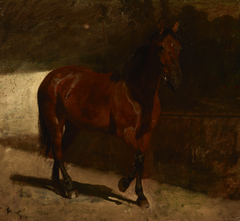 Study of a Chestnut Horse by Maksymilian Gierymski