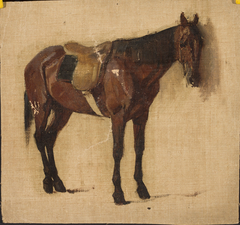 Study of a horse by Jean Lulves