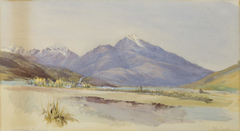 Swyncombe Kaikoura by John Gully