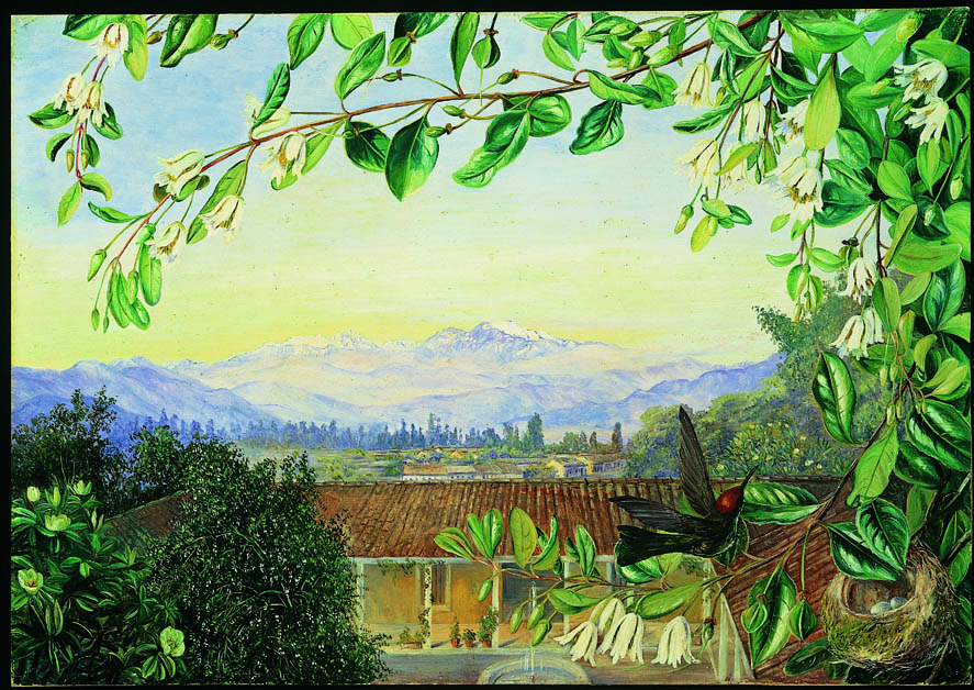 Exhibit image