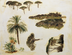 Tree studies from Rome) by Ferdinand Georg Waldmüller