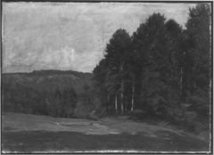 Waldlandschaft by Richard Thierbach