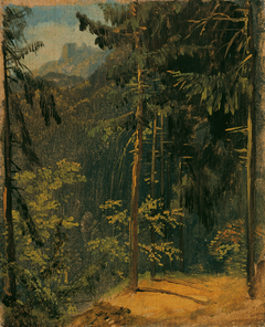 Waldweg im Harz by Carl Blechen