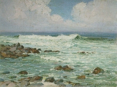 Waves on Windward Oahu by D. Howard Hitchcock