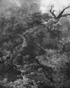 Woodland Sketch by Martin Johnson Heade