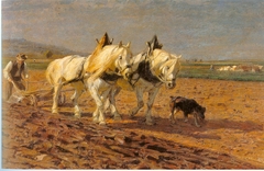 Zwei pflügende Schimmel by Friedrich Eckenfelder