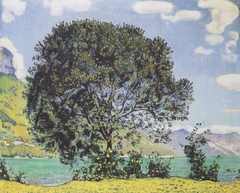 Baum am Brienzersee vom Bödeli aus by Ferdinand Hodler