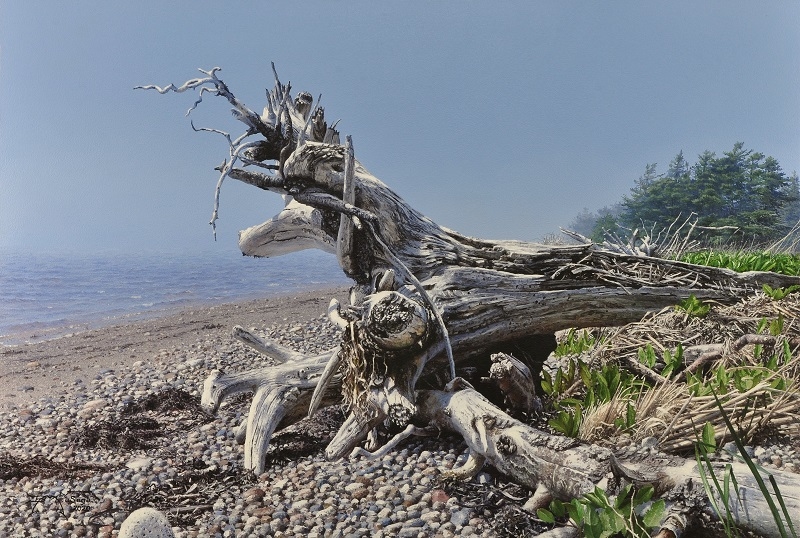 Exhibit image