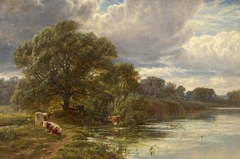 Cattle walking beside the Arun by George Vicat Cole