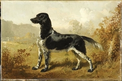 Dash, chien du duc d'Aumale by Alfred de Dreux