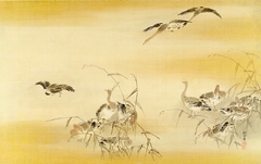 Descending Geese by Kanō Tansetsu