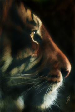 Eye of the Tiger by John Halvorsen