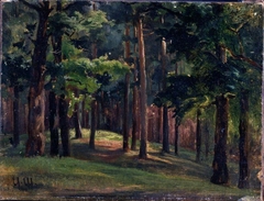 Forest by Ivan Shishkin