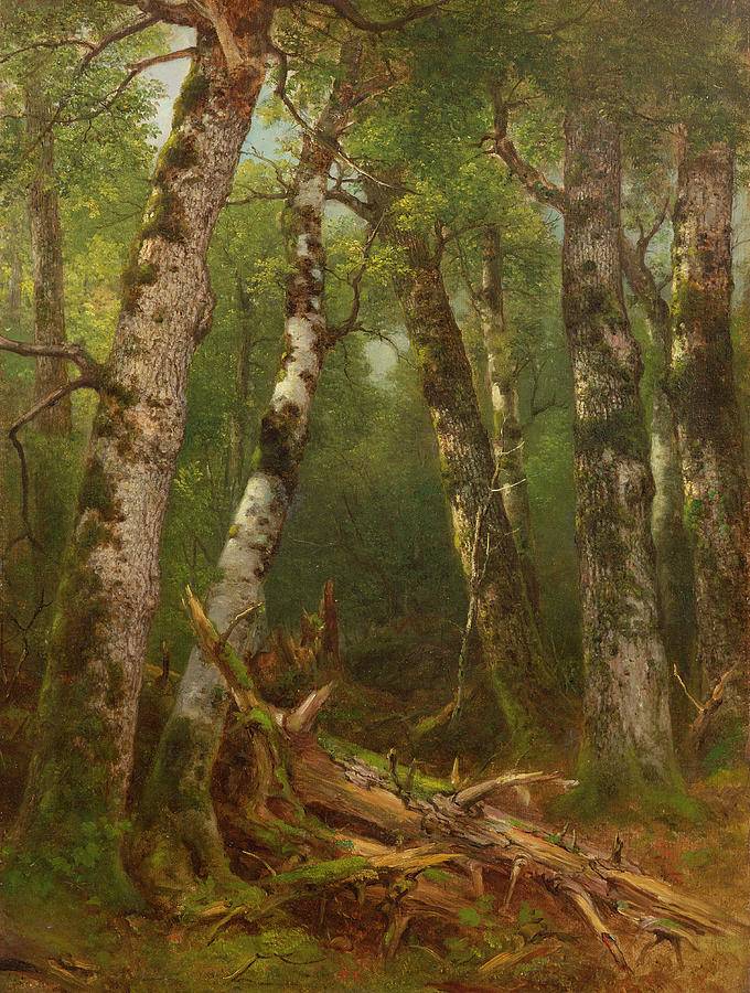 Exhibit image