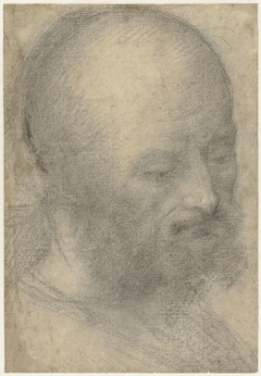 Hoofd van een oude man met baard by Lorenzo Costa