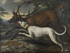 Hound Belonging to King Karl XI Attacking a Stag by David Klöcker Ehrenstrahl