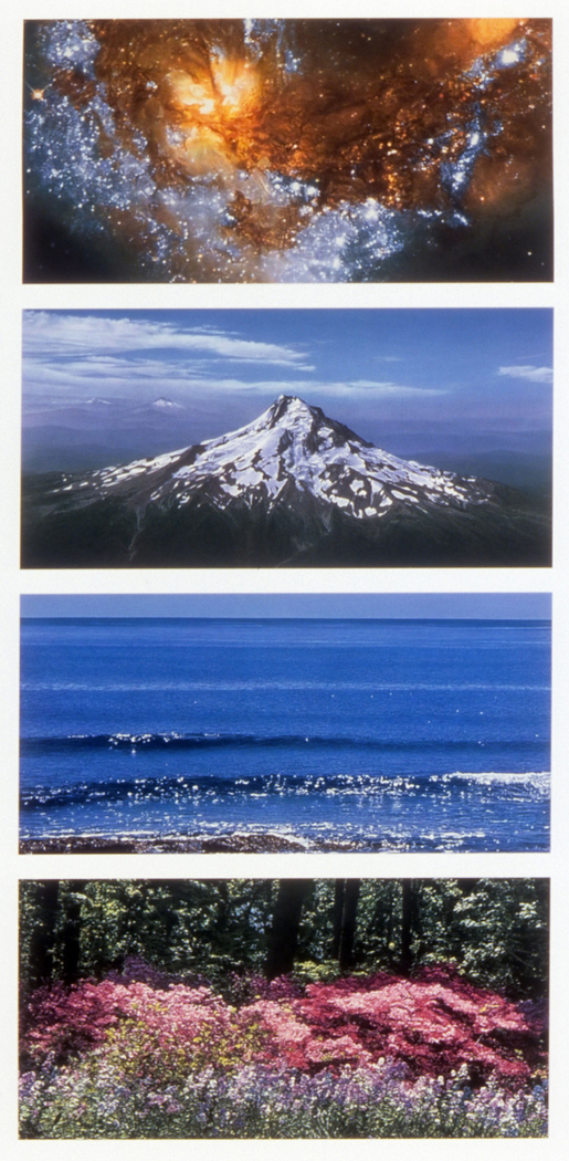 Exhibit image