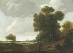 Landscape with Haarlem in the background by Jan Wils