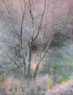 Light, Tree, North Wales by Harry Robertson