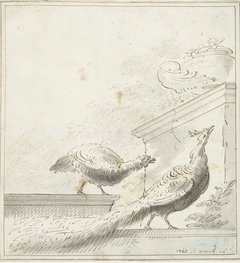 Ontwerp voor een kamerversiering met pauwen op een balustrade by Abraham Meertens