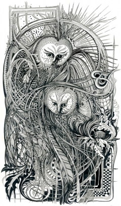 Owls by irina vinnik