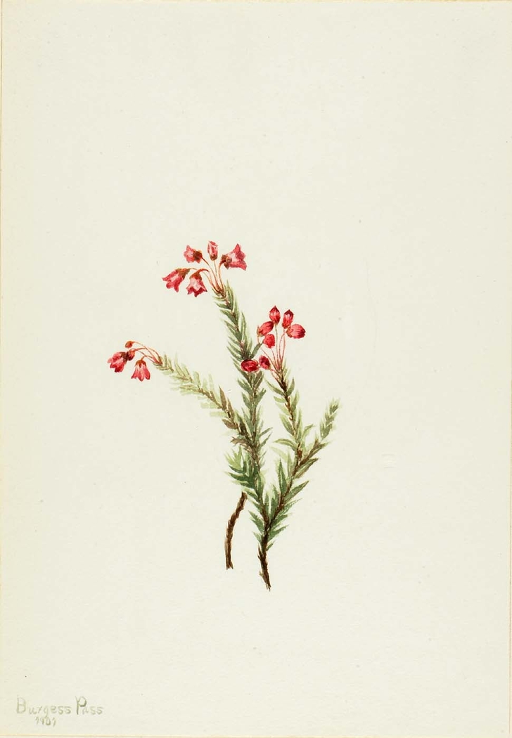 Exhibit image
