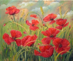 poppies by Χρήστος Τυρεκίδης