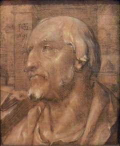 Portrait of a Scholar by Hendrik Goltzius