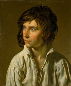 Portrait of a Youth by Anne-Louis Girodet de Roussy-Trioson