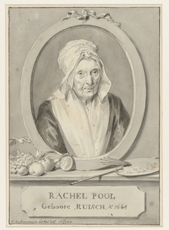 Portret van Rachel Pool-Ruysch by Aert Schouman