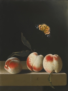 Still life with three peaches on a stone ledge and a butterfly by Adriaen Coorte