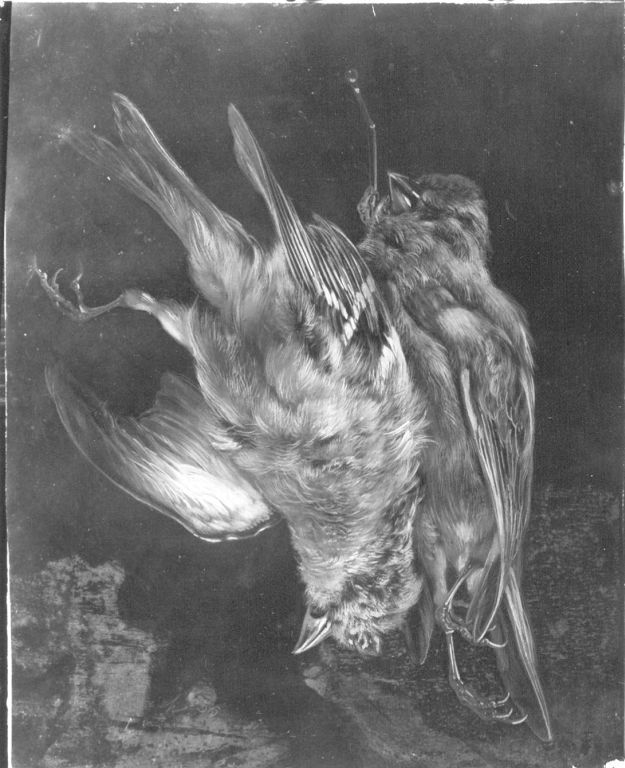Exhibit image