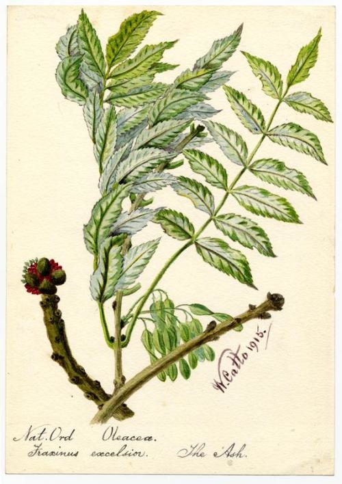 Exhibit image