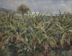 Field of Banana Trees by Auguste Renoir